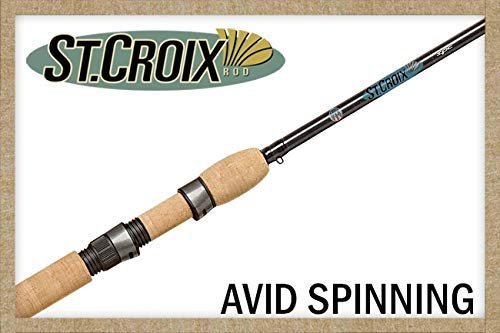 St Croix Avid Spinning Rod, AXS70MXF