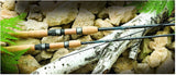 St Croix Avid Spinning Rods